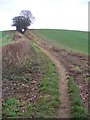 Hillside Path North of Chilworth in GU4 8LW