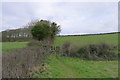 The Wessex Ridgeway path climbing Ranston Hill in DT11 8PX