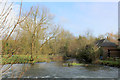 River Wylye outside Mill Farm in BA12 0HE