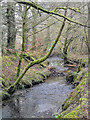 Knowstone : Sturcombe River in EX36 4SA