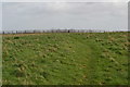 Path on the summit of Blewburton Hill in OX11 9EE