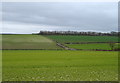 Wolds farmland near Argham in YO16 4XZ