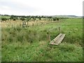 Footbridge across an Unnamed Sike in NE19 1BJ