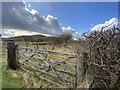 Farmland near Tor y Foel in CF44 9QL