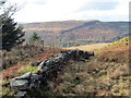 Wal gerrig sych / Dry stone wall in SA9 2EQ