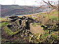 Ffarm Pen y Graig / Pen y Graig Farm in SA9 2BL