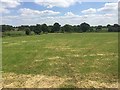 Fields east of Station Road, Little Shrewley in CV35 7HN