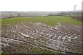 A muddy field, Frome Manor in WR6 5BG