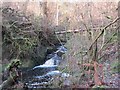 Footbridge above a Waterfall on the Hareshaw Burn in NE48 2DT