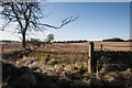 Gatepost and field, Kilbrackmont in KY9 1HP