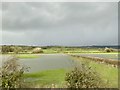 Flooded field in SA19 6NU