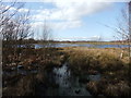 A large area of more permanent water in the peatlands in DN17 4BL