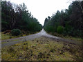 Track junction in Roseisle Forest in IV30 5YP