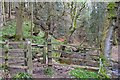 Gate on woodland path, Borthwick in EH23 4RA