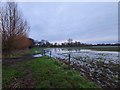 Flooded Fields of Waterside Farm in RG19 8BR