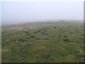 Mist and molehills above Swindale in CA16 6LU