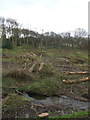 Stream and felled woodland in WF14 8EX