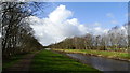 Bridgewater Canal west of Worsley in M28 2GU