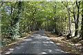 Wooded, Wissenden Lane in TN26 3EW