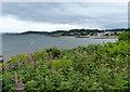 View across Aberdour bay from Hawk Craig in KY3 0TJ