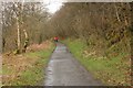 Path through Craigmarloch Wood in G65 0DN