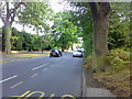 Chislehurst Road, Orpington in BR7 6QL