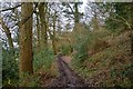 West Bagborough : Footpath in TA4 3HQ