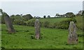 Harold's Stones prehistoric stone row in NP25 4NZ