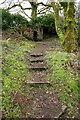 Steps up to the ice house, Castle Semple in PA12 4HL
