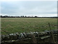 Grass field, north of High Garford in Marwood