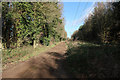 Track along the edge of Thetford Forest in IP26 4LR