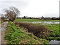 Flooded field near West End in BS48 4DD