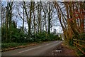 Cothelstone : Cothelstone Road in TA4 3DX