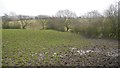 Muddy field near Brindle in PR6 8PB