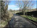 Lane from Hunderthwaite to Wilden Bridge in DL12 9ER