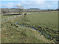 Farmland with drain, south of Buck Hill in DL12 9ER