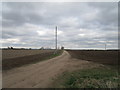 Track to Barff Farm, Fenside, Metheringham in Metheringham Rural Ward