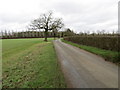 Guiler's Lane approaching Joe's Plantation and Guiler's Farm in NR18 9JX