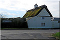 Fowlmere: mossed cottage on Thriplow Road in SG8 7QT
