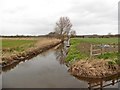 Blackditch Rhyne in BS49 4RN