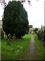 Path through the churchyard, Cawthorne in S75 4HB