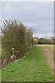 Footpath approaching Rivenhall Thicks in CM8 2AE