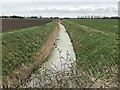 Drain and farmland east of Bar Drove in PE14 0NH