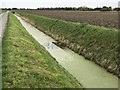 Algae covered drain next to Bar Drove in PE14 0NH