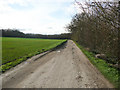 Driveway to Wymondley Wood Scout and Guide Camp in SG6 2UB
