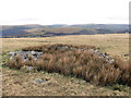 Carn Foel Deg / Foel Deg Cairn in Quarter Bach Community