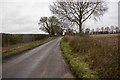 Road leading from Weasenham St Peter in PE32 2ST