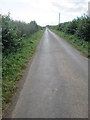 Long  straight  country  road  back  toward  Haymount in TD5 7RP