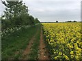 Bridleway to Spratt's Farm in OX29 8DU