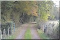 Track by Butchers Wood in TN26 3DQ